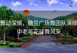 舞动深情，糖豆广场舞团队演绎中老年花球舞风采