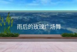 雨后的玫瑰广场舞