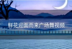 鲜花迎面而来广场舞视频