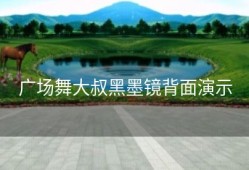 广场舞大叔黑墨镜背面演示