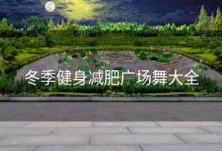 冬季健身减肥广场舞大全