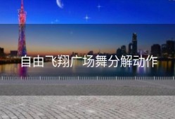 自由飞翔广场舞分解动作