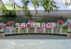 性感广场舞开心乐