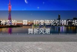 神奇的一幕：印度骆驼引领广场舞新风潮