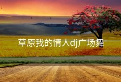 草原我的情人dj广场舞