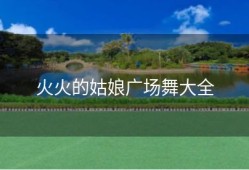 火火的姑娘广场舞大全