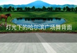 灯光下的哈尔滨广场舞背面