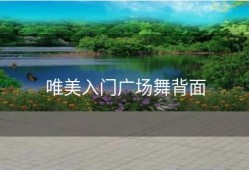 唯美入门广场舞背面