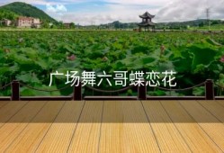 广场舞六哥蝶恋花