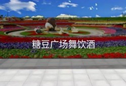 糖豆广场舞饮酒