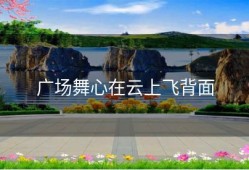 广场舞心在云上飞背面