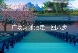 广场舞潇洒走一回八步