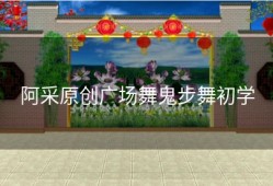 阿采原创广场舞鬼步舞初学