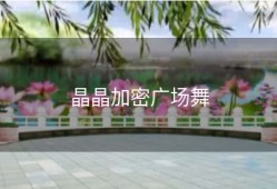 晶晶加密广场舞