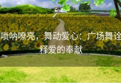 唢呐嘹亮，舞动爱心：广场舞诠释爱的奉献