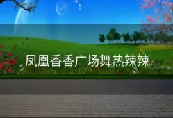 凤凰香香广场舞热辣辣