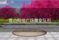 雪山阿佳广场舞变队形