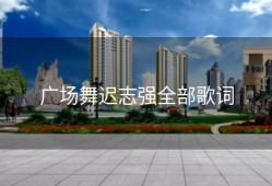 广场舞迟志强全部歌词