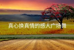 真心换真情的感人广场舞