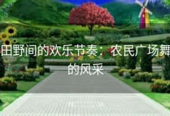 田野间的欢乐节奏：农民广场舞的风采