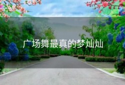 广场舞最真的梦灿灿