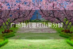广场舞儿童红山果分解