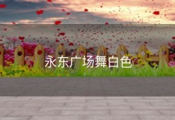 永东广场舞白色