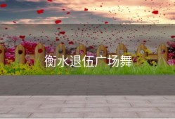 衡水退伍广场舞