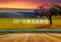 开广场舞背面教程