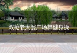 双枪老太婆广场舞健身操