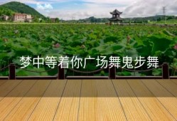 梦中等着你广场舞鬼步舞