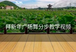 拜新年广场舞分步教学视频