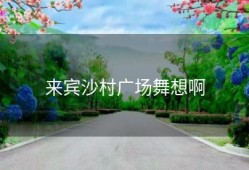 来宾沙村广场舞想啊