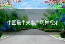 中国最牛夫妻广场舞视频