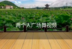 两个人广场舞视频