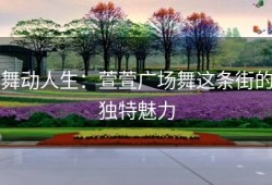 舞动人生：萱萱广场舞这条街的独特魅力
