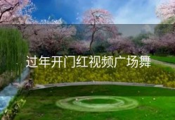 过年开门红视频广场舞