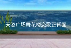 天姿广场舞花楼恋歌正背面