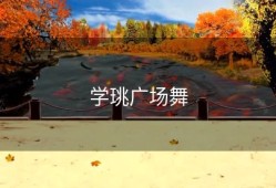 学珧广场舞