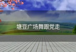 塘豆广场舞跟党走