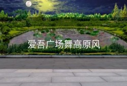 爱吾广场舞高原风