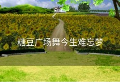 糖豆广场舞今生难忘梦