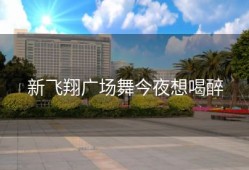 新飞翔广场舞今夜想喝醉