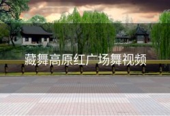 藏舞高原红广场舞视频