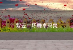 紫云广场舞卓玛泉