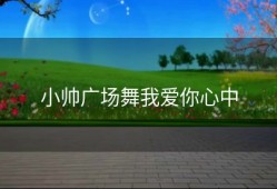 小帅广场舞我爱你心中