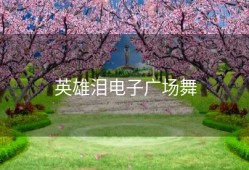 英雄泪电子广场舞