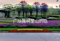 广场舞啊里山的姑