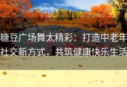 糖豆广场舞太精彩：打造中老年社交新方式，共筑健康快乐生活