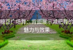 糖豆广场舞：背面展示减肥舞的魅力与效果